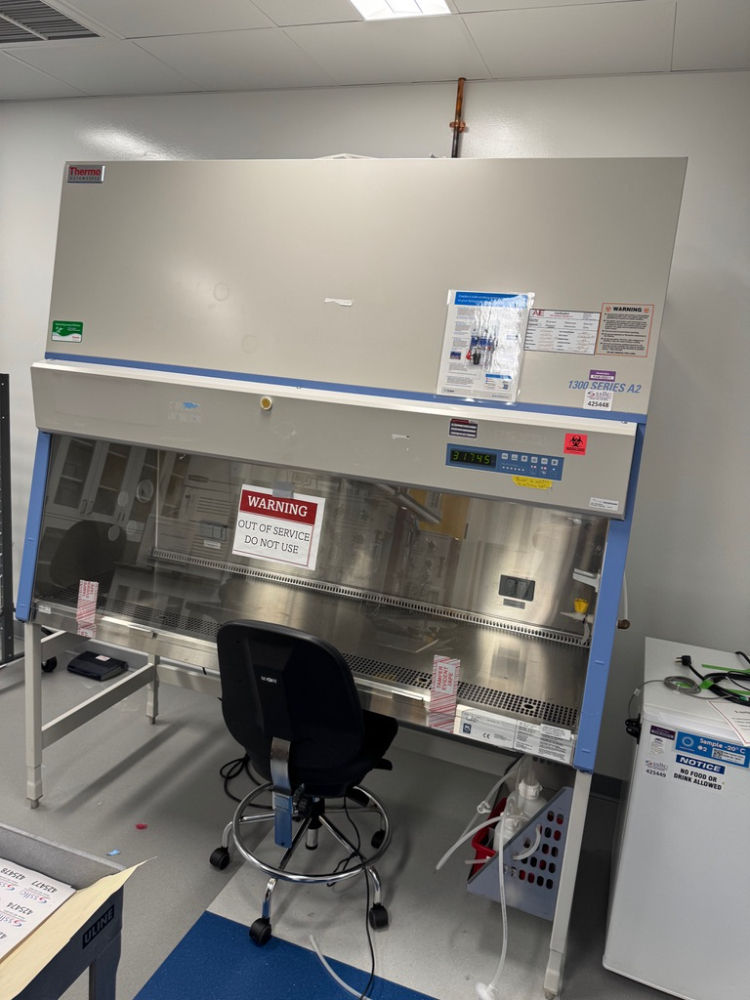 Image of Thermo Scientific 1300 Series A2 6' Biosafety Cabinet